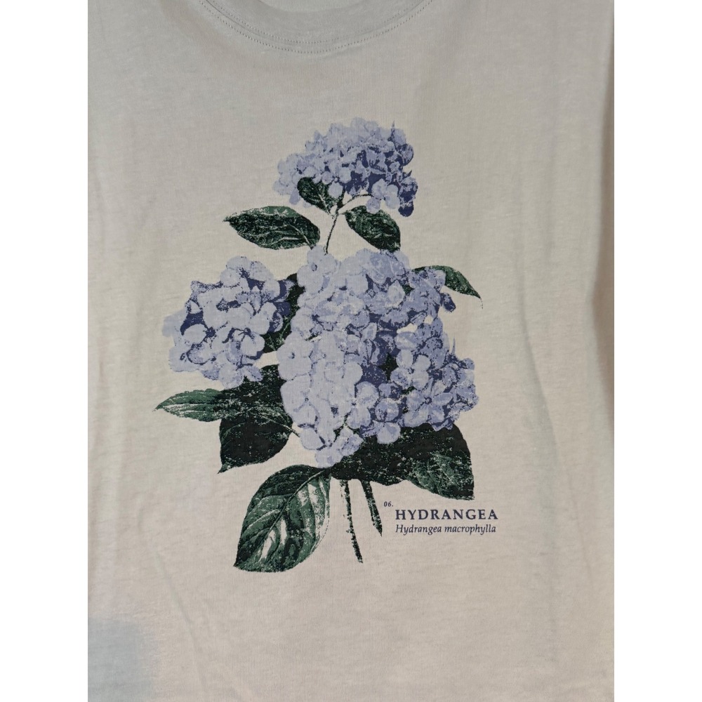 NWT Scotch‎ & Soda Women Sage Green Hydrangea Botanical Tee •L• Cottagecore Art - Picture 4 of 10